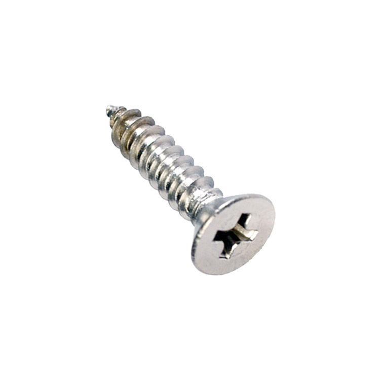 CHAMPION - SELF TAPP SCREWS-CSK 6G X 1''